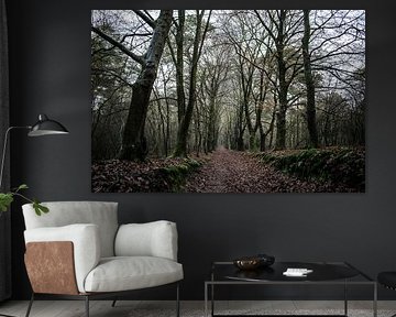 The dark forest by Robert Snoek