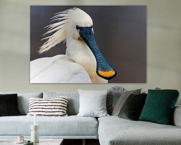 Eurasian Spoonbill portrait by Beschermingswerk voor aan uw muur