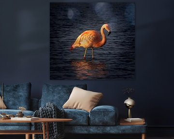 flamingo reflectie