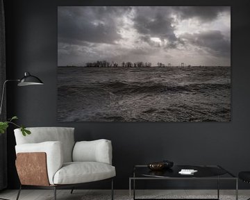 Hoog water bij Echteld van Moetwil en van Dijk - Fotografie