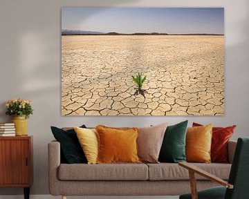 SA11327333 Green plant in barren landscape by BeeldigBeeld Food & Lifestyle