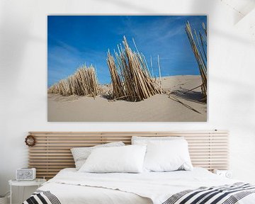 Les dunes sur Sander van Ketel