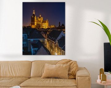 's-Hertogenbosch, Sint-Janskathedraal van Goos den Biesen