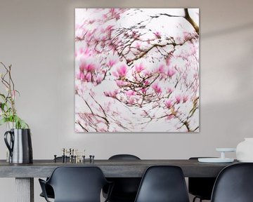 Dazzling Magnolia's van Katja Waltmans