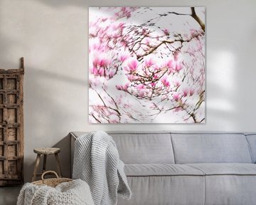 Dazzling Magnolia's van Katja Waltmans