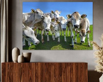 Vriendelijke koeien in de wei op Texel van Inge Kampen