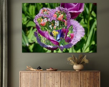 Kleurrijk Tulp Design van FotoGraaG Hanneke