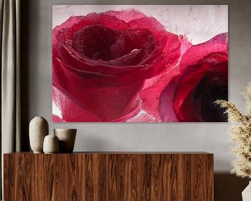 Rode roos in kristalhelder ijs 2 van Marc Heiligenstein
