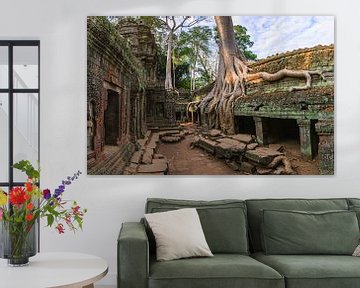 Ta Prohm,  Angkor, Cambodja