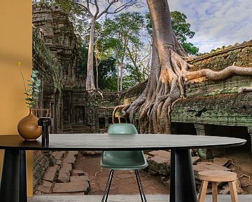 Ta Prohm, Angkor, Cambodia by Henk Meijer Photography