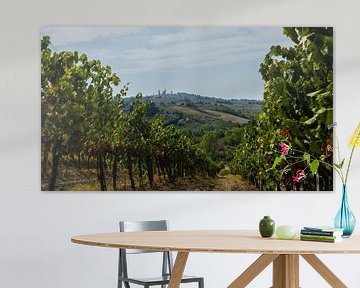 The vineyards of San Gimignano, Tuscany by Robbert De Reus