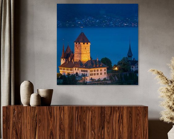 Aperçu de la chambre