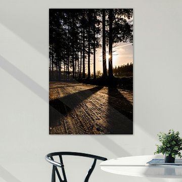 Here comes the sun - Bakkeveen