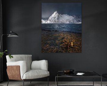 Fjord Lofoten van Peter Poppe