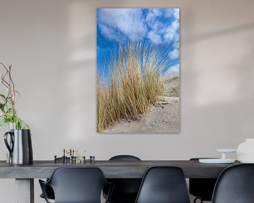 Dunes et herbe de plage de la mer Baltique sur Christian Müringer