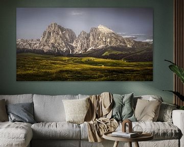 alpine meadow Dolomites by Peter Poppe
