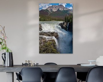 Athabasca Falls, Jasper National Park, Alberta, Kanada von Alexander Ludwig