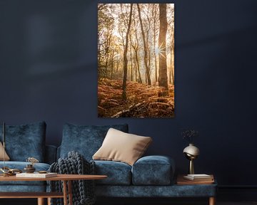 Autumn birch forest with ferns by Christian Müringer