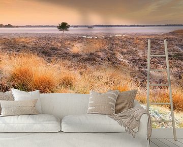 Heide landschap in Drenthe met mist tijdens zonsopkomst van Bas Meelker