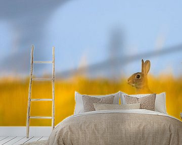 A rabbit in a beautiful field with yellow grass. by Bas Meelker