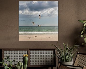 Ostsee und drei Seemöwen von Yanuschka Fotografie | Noordwijk