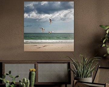 Oostzee en drie zeemeeuwen van Yana Kunstfotografie