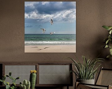 Oostzee en drie zeemeeuwen van Yanuschka | Fotografie Noordwijk