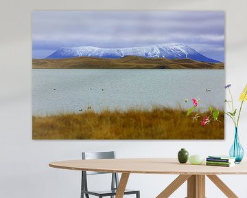 Tafelberg in IJsland van Patrick Lohmüller