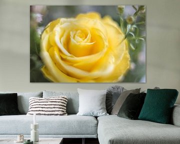 Jaune rose sur Vliner Flowers