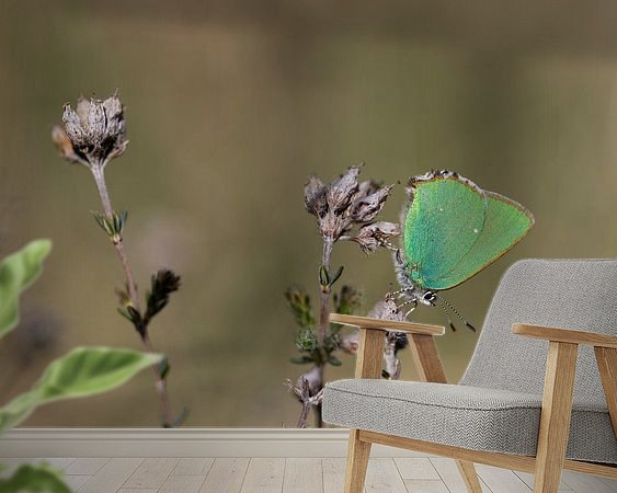 Voorbeeld van het werk in een kamer