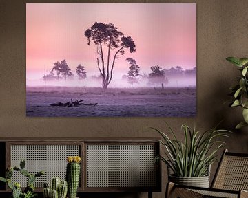 De Hollandse savanne van Peter Nolten