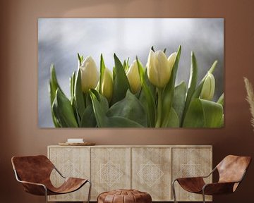 Fresh white tulips, fresh white tulips by Jolanda de Jong-Jansen