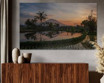 Sunrise over rice fields and Mount Agung by Michiel van den Bos
