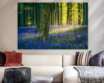 Bluebells Hallerbos van Peter Poppe