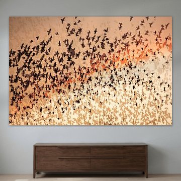 Starlings dancing at sunset
