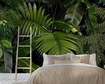 Beautiful green leaf wall photographed in the jungle by Bianca ter Riet