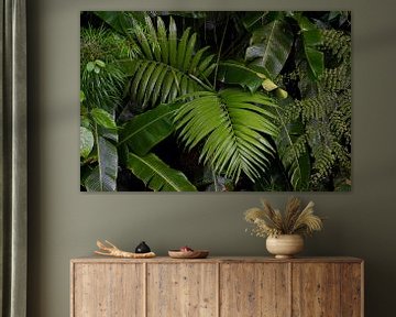 Prachtige groene bladerenwand gefotografeerd in de jungle; bladeren jungle van Bianca ter Riet