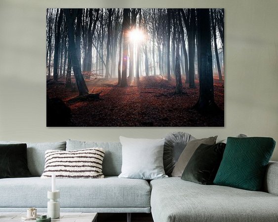 Aperçu de la chambre