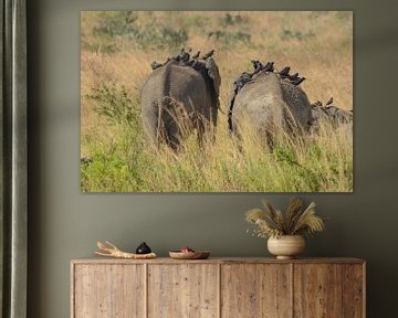 Elefant in Uganda, Afrika von linda ter Braak