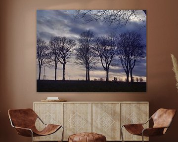 Bomen 11