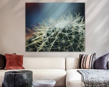 Kaktus-Spinnennetz von Marije Zwart
