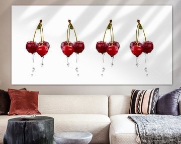 SF00987829 Four cherry bunches dripping with water by BeeldigBeeld Food & Lifestyle