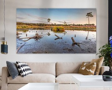 Hatertse and Overasselt Fens by Cor de Bruijn Photography