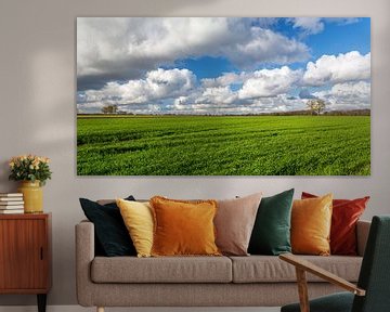 Groene landerijen met fraaie wolkenlucht in Nederland van Ron Van der Wal