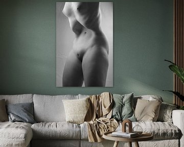 Corps - Femme nue ou à poil avec un grand corps sensuel. Photo finie avec le grain de film #0174 sur Photostudioholland