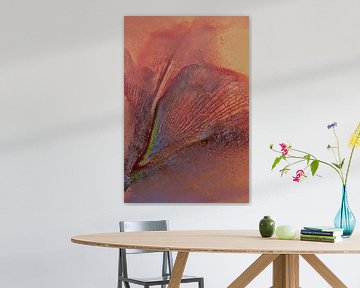 Amaryllis abstrait sur Leo Luijten