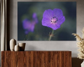 Paarse wilde bloem van Lizet Wesselman