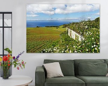 Azoren - Huis met bloemen en uitzicht op het eiland van Ralf Lehmann