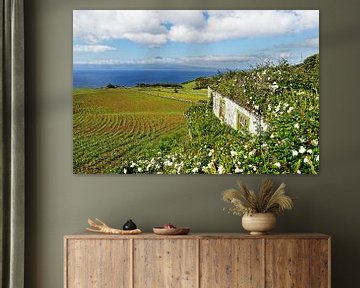 Azoren - Huis met bloemen en uitzicht op het eiland van Ralf Lehmann