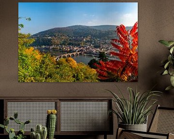 Heidelberg in Baden-Württemberg, am Neckar von Sjoerd van der Wal Fotografie